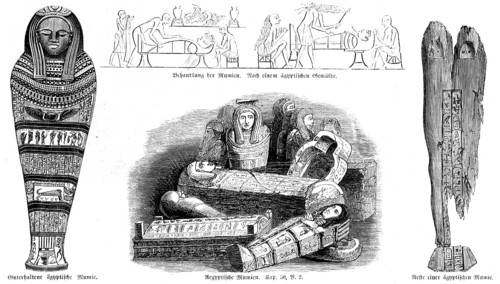 Egyptian mummies