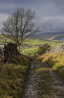 Bridleway meanders between dry stone walls in upland farmland