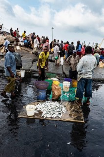 Fischer und Fischhaendler am Fischereihafen