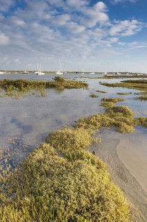 View of estuary saltmarsh habitat and boats with rising tide