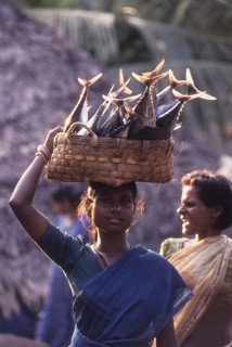 Girl carrying fish on head
