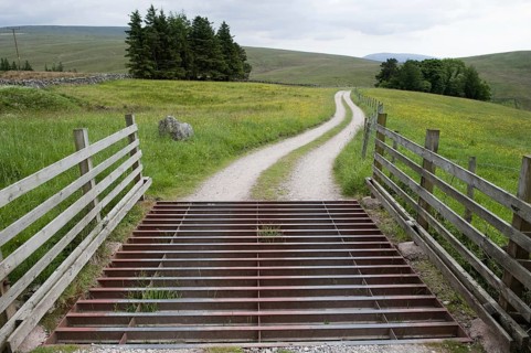 Cattle grid on narrow country lane