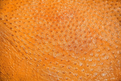 Dyed ostrich leather