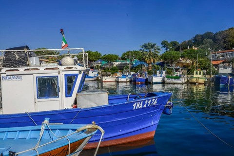 Fishing boats