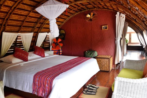 Bed