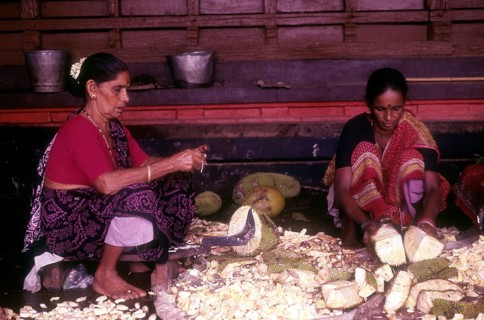 Women cutting raw jackfruit to make side dish of lunch at Madhur Sri Anantheshwara Vinayaka temple