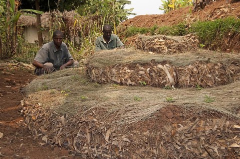 Farmer and local development worker building a keyhole vegetable garden