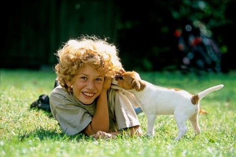 Boy with Jack Russell Terrier