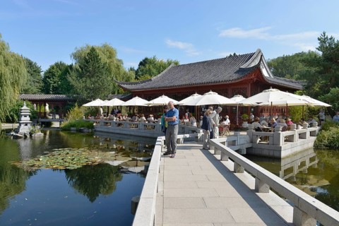 Chinese Garden
