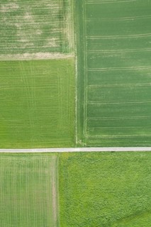 Aerial view of a straight field road through green agricultural landscape