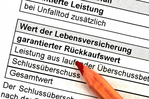 Insurance policy life insurance