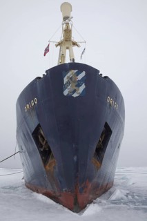 Icebreaker Origo moored in pack ice