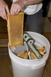 The honeycomb frames are placed in a centrifugal drum and then spun at high speed to separate the honey from the combs