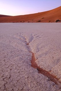 Dendritic water pattern on the clay pan. Deadvlei