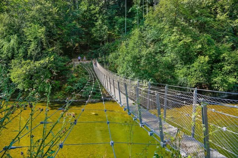 Haengebruecke im Fuerstlichen Park Inzigkofen