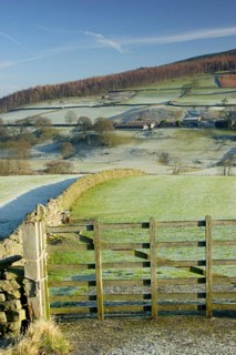 View of gate