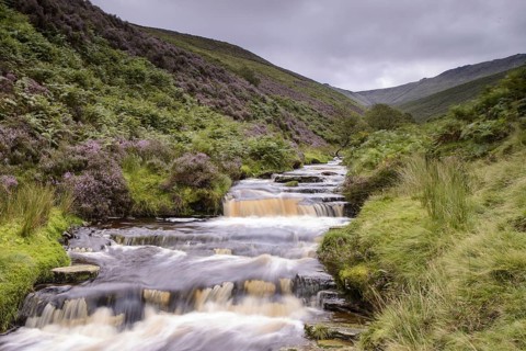View of the Cascade Stream