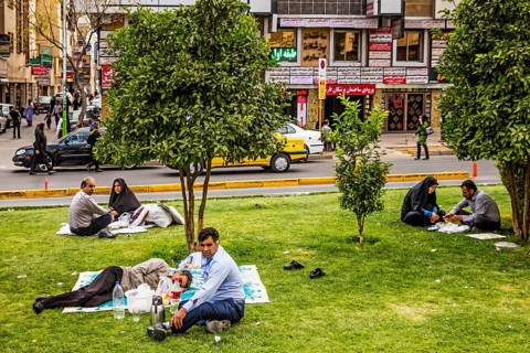 Picnic on the grass verge