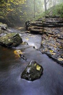 View of river cascades and trees with leaves in autumn colours