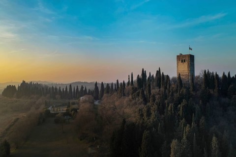 Castle tower