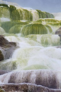 Travertine Terraces at Hotspring