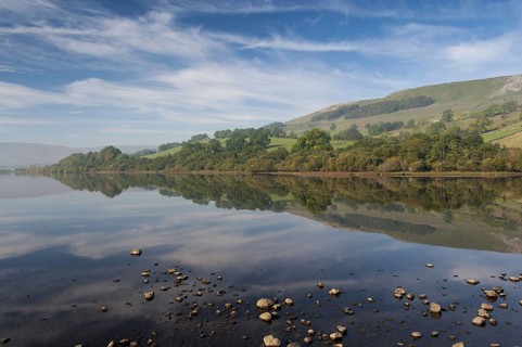 View of a lake with reflections