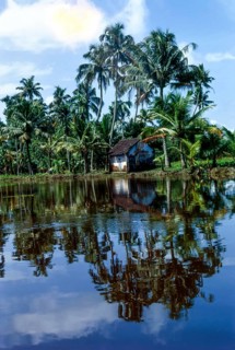 Small thatched building beside backwaters of Kuttanad with palm trees and reflections