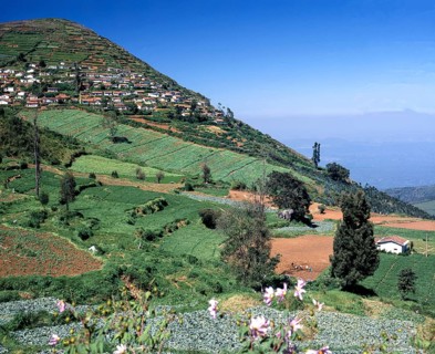 Kallatti landscape view near Ooty or Udhagamandalam