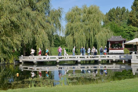 Chinese Garden
