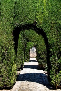 Labyrinth