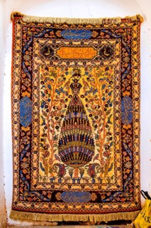 Carpet dealer