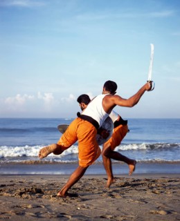 Kalaripayattu