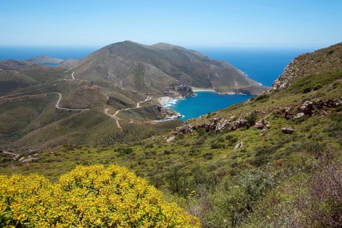 Marmari