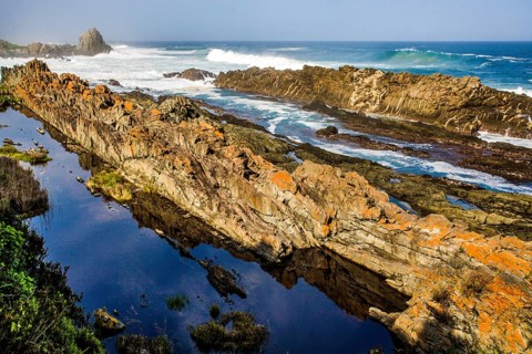 Tsitsikamma National Park