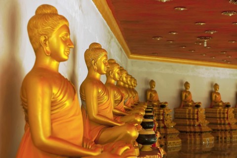 Buddha statues