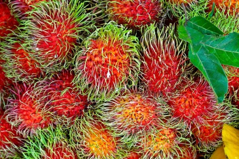 Rambutan