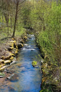 Katzenbach