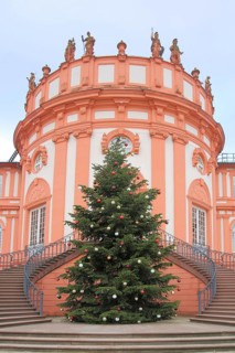 Castle with Christmas tree in Biebrich