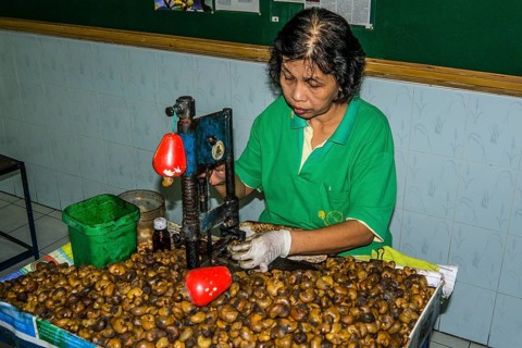 Cashew nut factory
