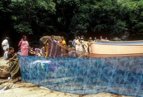 Women drying sarees after bathing River Cauvery
