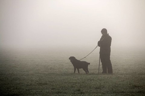 Picker stands in the field with trained dog waiting for pheasant shooting to begin
