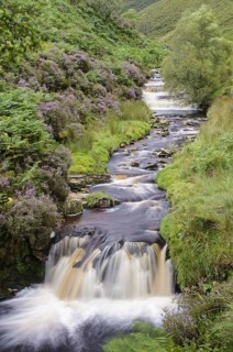 View of cascading stream and waterfall