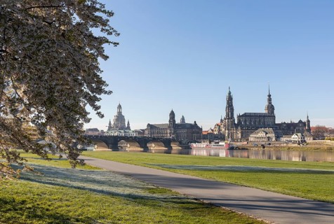 Canaletto view from the Neustadt bank to the old town across the Elbe to the cherry tree blossom