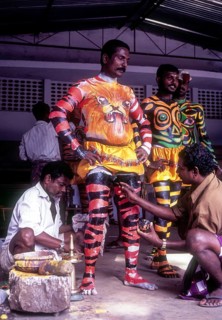 Painted human bodies for Pulikali Tiger Dance