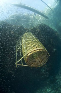 Fish basket being lifted onto fishing boat