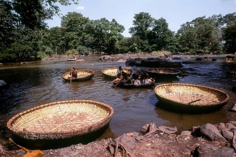 Coracles on the River Cauvery