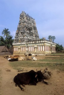 Sri Rama temple in Srimushnam