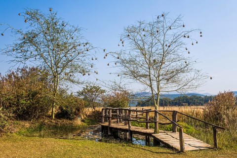 Mlilwane Wildlife Sanctuary
