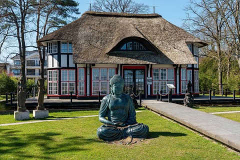 Mikado Galerie