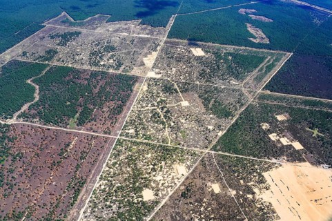 Aerial view of the scarred landscape of the Wittstock military training area